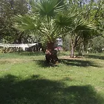 Pasha *